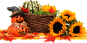 pumpkins-964385_640.png