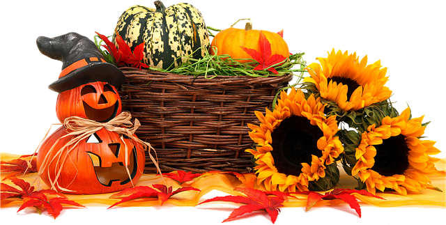 pumpkins-964385_640.png